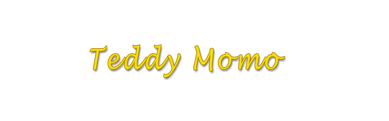 TakeOut Cafe Teddy Momo